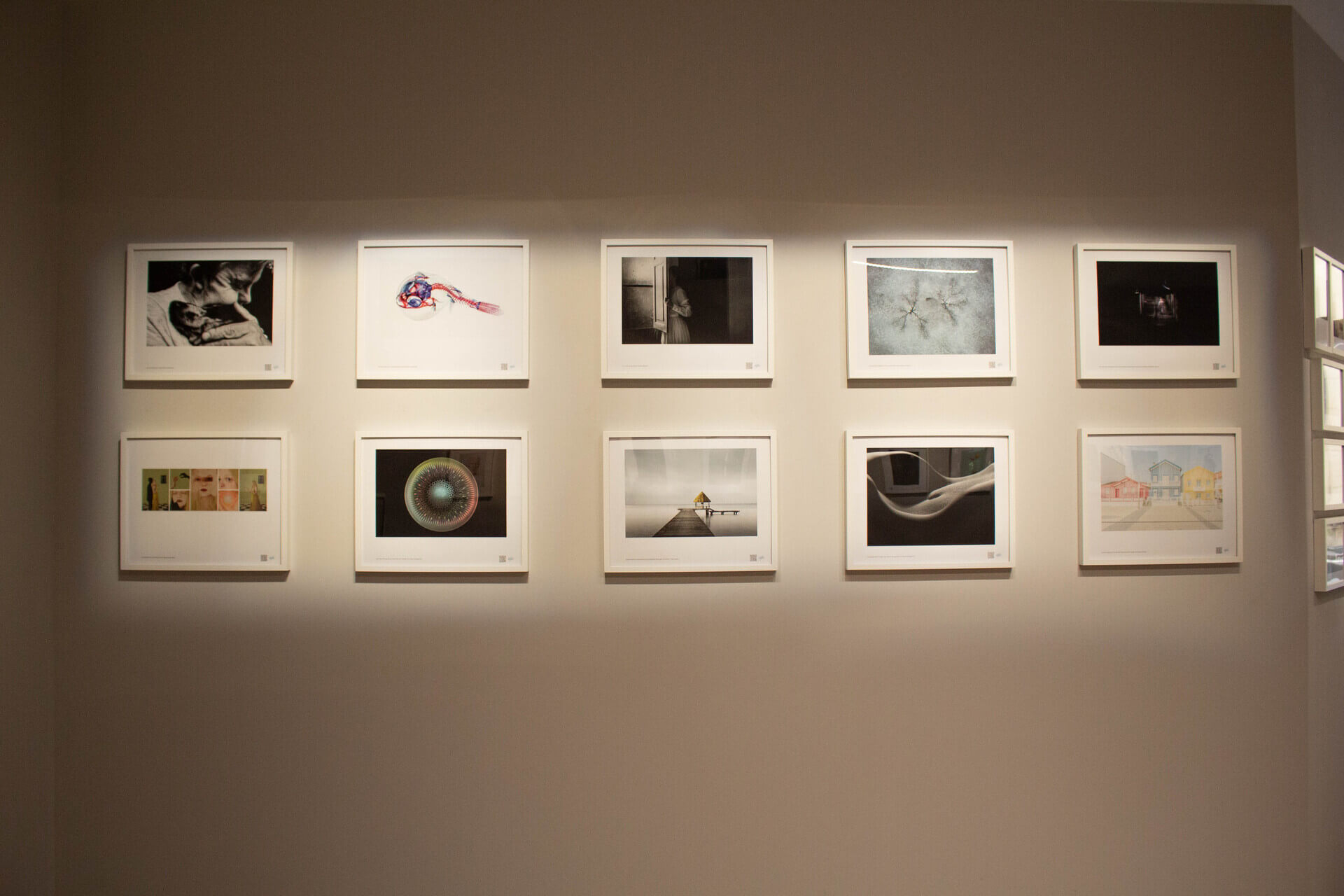 The 2021 Tokyo International Foto Awards Winners’ Photo Exhibition